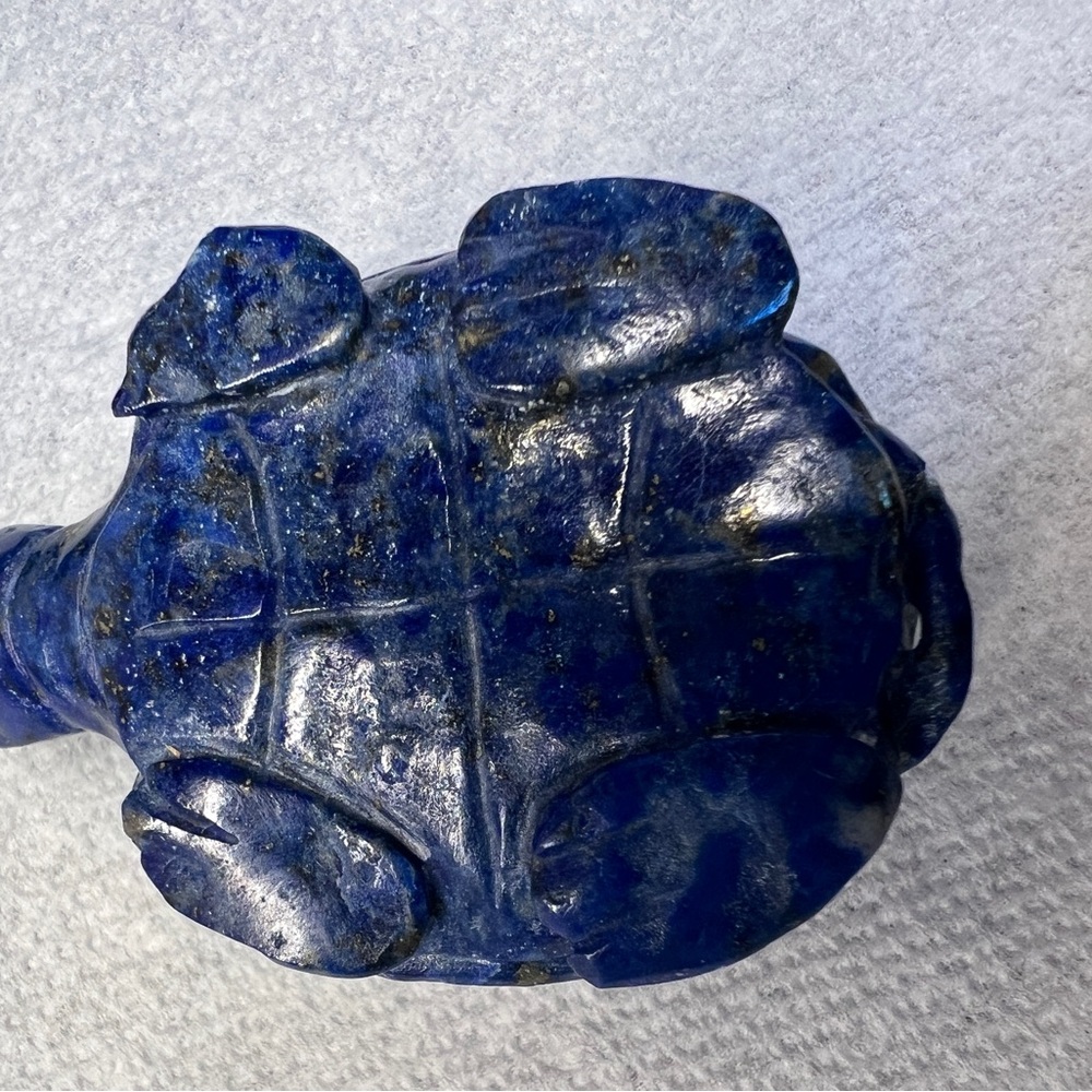 Blue lapis turtle - Picture 4 of 6